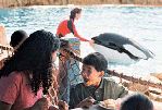 Dine With Shamu Tour at SeaWorld